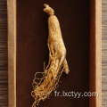 thé de santé extrait de ginseng